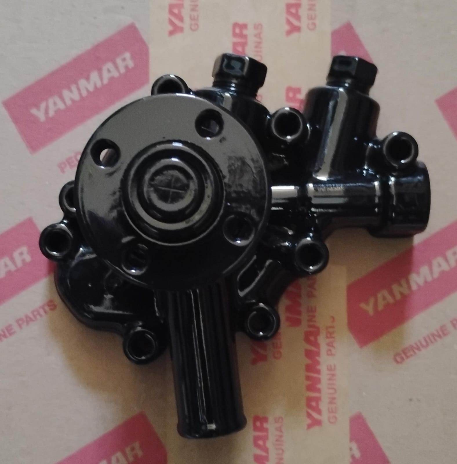 BOMBA DE AGUA DO MOTOR DIESEL 2TE67